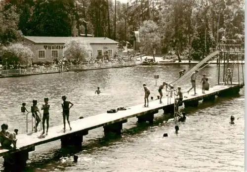 AK / Ansichtskarte  Schmannewitz_Dahlen_Sachsen Waldbad