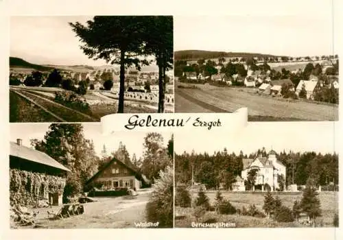 AK / Ansichtskarte  Gelenau_Erzgebirge Panorama Waldhof Genesungsheim