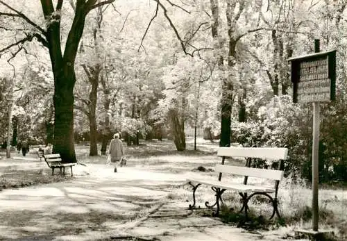 AK / Ansichtskarte  Zeitz_Sachsen-Anhalt Goethepark