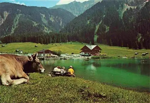 AK / Ansichtskarte  Vilsalpsee_1168m_Tannheim_Tirol_AT Erholung am See