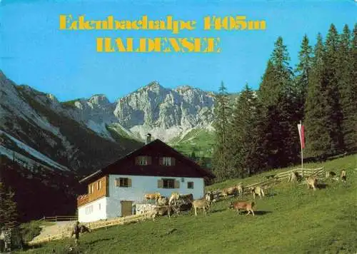 AK / Ansichtskarte 73962820 Haldensee_Reutte_Tannheimertal_AT Edenbachalpe Almvieh Alpen