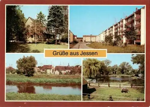 AK / Ansichtskarte  Jessen_Elster Kinderkurheim Strasse der Freundschaft Teilansicht Tierpark