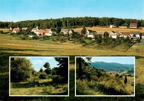 AK / Ansichtskarte  Neuludwigsdorf Panorama Teilansichten