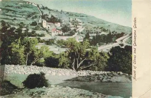 AK / Ansichtskarte  Getsemane_Getsemani_oelberg_Jerusalem_Yerushalayim_Israel Mount of Olives and Getsemane Garden