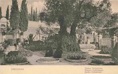 AK / Ansichtskarte  Jerusalem__Yerushalayim_Israel Garten Gethsemane