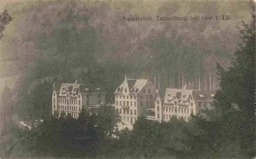 AK / Ansichtskarte  Saal_Saales_67_Bas-Rhin_Alsace Sanatorium Tannenberg