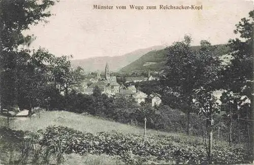 AK / Ansichtskarte  Muenster__Elsass_Munster_68_Alsace_Haut-Rhin vom Wege zum Reichsacker-Kopf Vogesen
