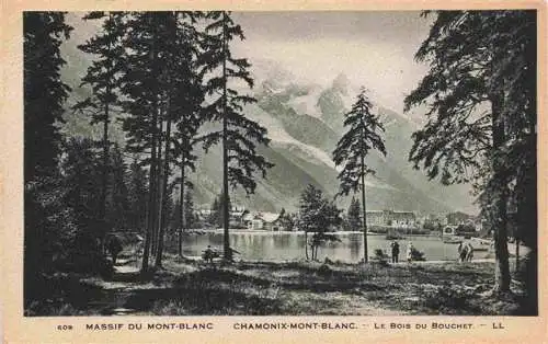 AK / Ansichtskarte  CHAMONIX_74_Haute-Savoie Massif du Mont-Blanc Bois du Bouchet