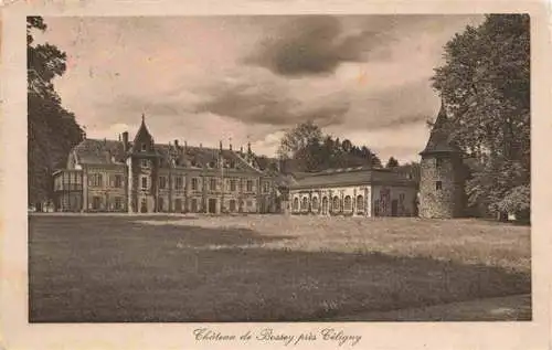 AK / Ansichtskarte  Bossey_Chateau_de_Celigny_GE Château Schloss