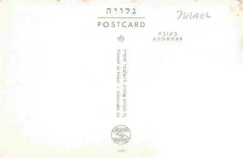 AK / Ansichtskarte  Mount_Tabor_Mont_Tabor_Afula_Israel Panorama