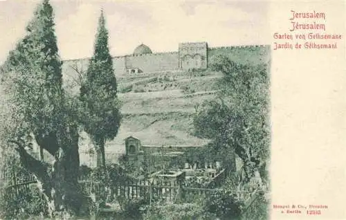 AK / Ansichtskarte 73963339 Jerusalem__Yerushalayim_Israel Garten von Gethsemane