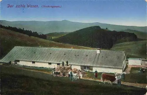 AK / Ansichtskarte  Kahler_Wasen_68_Haut-Rhin Panorama