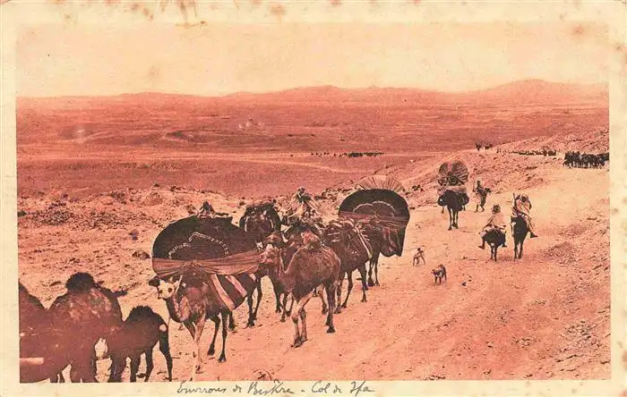 AK / Ansichtskarte  Biskra_Algerie Caravane au Col de Sfa