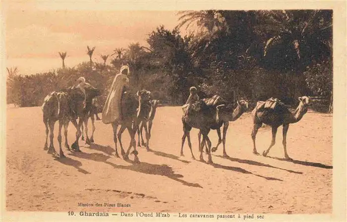 AK / Ansichtskarte 73963762 Ghardaia_Algeria Dans l'Oued M'zab Caravanes passant à pied sec