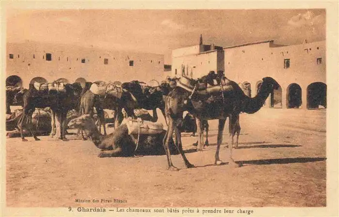 AK / Ansichtskarte  Ghardaia_Algeria Les chameaux sont bâtés prêts à prendre leur charge