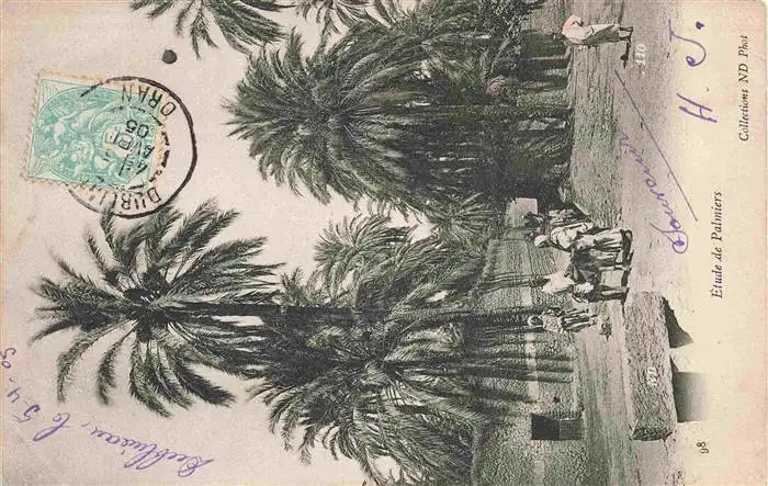 AK / Ansichtskarte  Oran_Algerie Etude de Palmiers