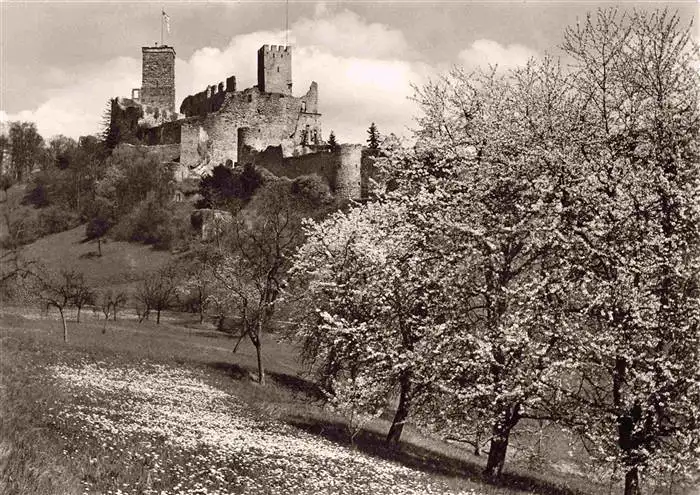 AK / Ansichtskarte  Roetteln_Roettelweiler_Loerrach Roettler Schloss Baumbluete