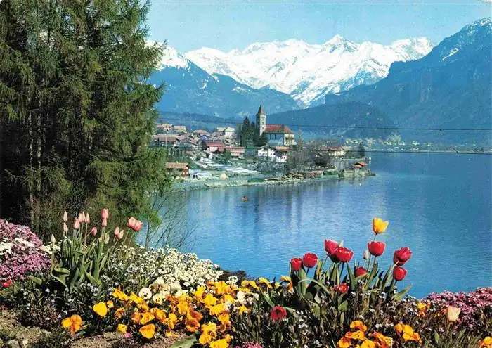 AK / Ansichtskarte  Brienz_Brienzersee_BE Panorama Blick ueber den See Hasliberge Berner Alpen