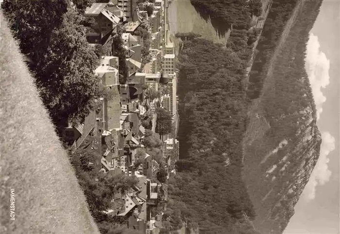 AK / Ansichtskarte  Immenstadt_Allgaeu Teilansicht mit Blick auf Steineberg Allgaeuer Alpen