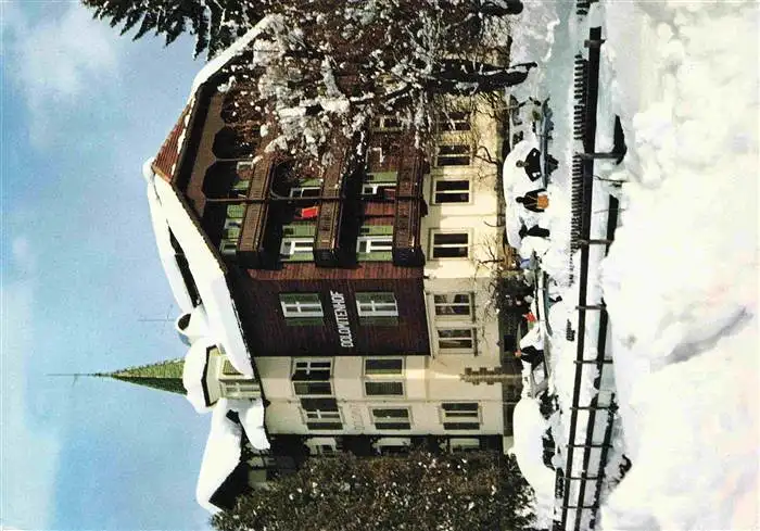 AK / Ansichtskarte  Siusi_allo_Sciliar_Seis_am_Schlern_Kastelruth_Suedtirol_IT Hotel Dolomiti Dolomitenhof
