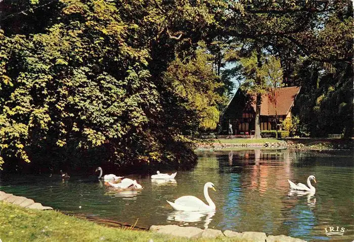 AK / Ansichtskarte  Vittel_88_Vosges Au parc et des cygnes