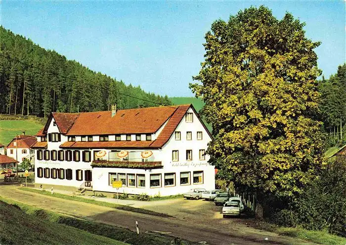 AK / Ansichtskarte  Gompelscheuer Hotel Gasthof Enzursprung