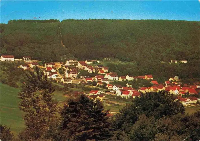 AK / Ansichtskarte  Bad_Bocklet Panorama Staerkste Stahlquelle Deutschlands