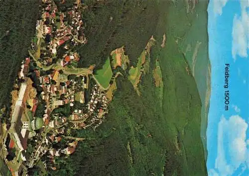 AK / Ansichtskarte  St_Blasien Panorama Kloster Dom Blick zum Feldberg Schwarzwald