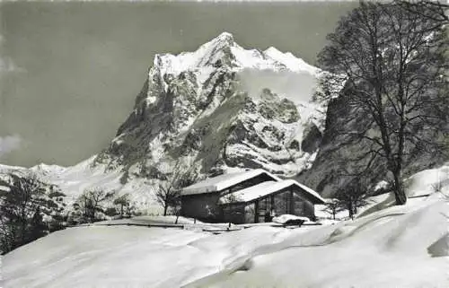 AK / Ansichtskarte  Grindelwald_BE mit Wetterhorn