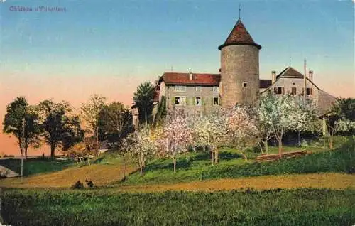 AK / Ansichtskarte  Echallens_VD Chateau d'Echallens