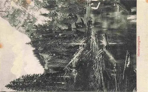 AK / Ansichtskarte  Hinterburgsee_Brienz_BE Panorama