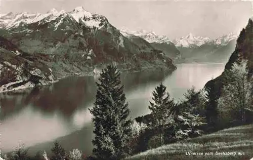 AK / Ansichtskarte  Urnersee_Brunnen_SZ Blick vom Seelisberg