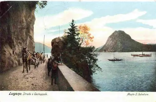 AK / Ansichtskarte  LUGANO_Lago_di_Lugano_TI Strada a Castagnola e Monte San Salvatore