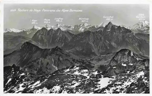AK / Ansichtskarte  Rochers_de_Naye_VD Panorama des Alpes Bernoises