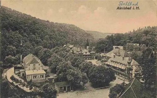 AK / Ansichtskarte  Alexisbad_Harz Panorama