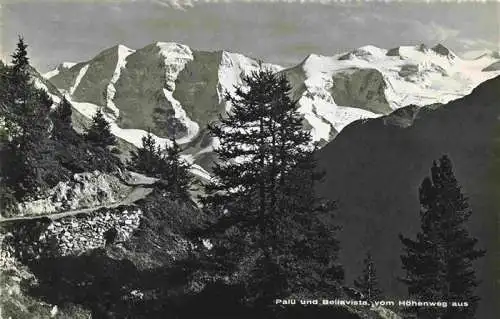 AK / Ansichtskarte  Piz_Palue_3905m_GR und Bellavista Blick vom Hoehenweg