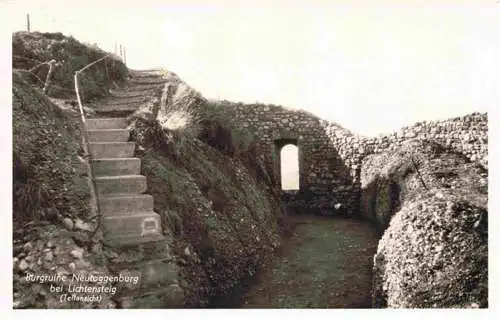 AK / Ansichtskarte  Lichtensteig_SG Burgruine Neutoggenburg Detail