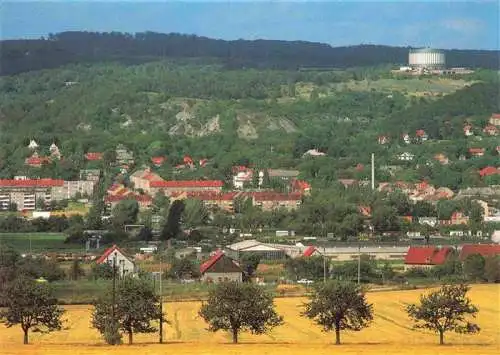 AK / Ansichtskarte  Bad_Frankenhausen Blick zum Schlachtberg Panorama Museum