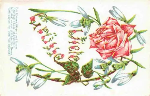 AK / Ansichtskarte  Rosen_Roses_Rosas-- Rot Schneglocken