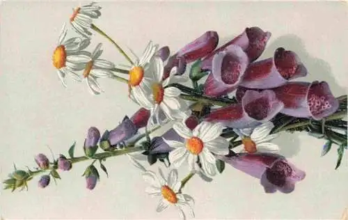 AK / Ansichtskarte  Verlag_Photochemie_Nr. 1269 Litho Glockenblume 