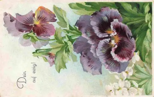 AK / Ansichtskarte  Veilchen_Violette_Violet_Violetta-- Litho