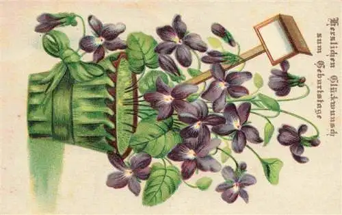 AK / Ansichtskarte  Veilchen_Violette_Violet_Violetta-- Geburtstag Litho