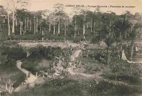 AK / Ansichtskarte  Congo_Belge_Belgisch_Kongo Paysage Mayumbe Plantation de cacoyers