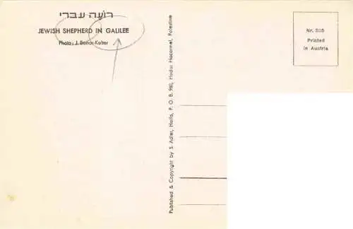 AK / Ansichtskarte 73965164 Galilee_Galilaea_Haifa_Israel Jewish Shepherd