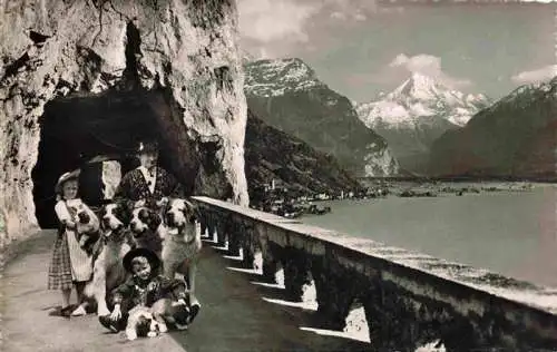 AK / Ansichtskarte  Flueelen_Vierwaldstaettersee_UR Tunnel Bernhardiner Hunde St. Bernhard Zwinger Zwing Uri