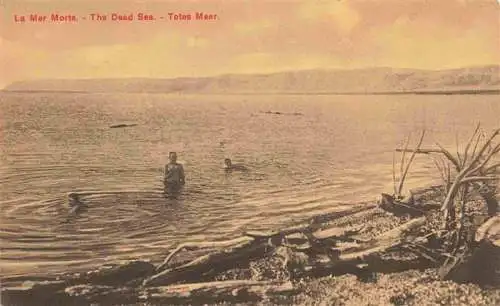 AK / Ansichtskarte 73965272 Totes_Meer_Dead_Sea_Israel Uferpartie am Meer