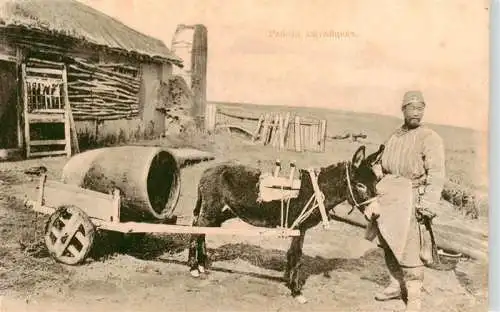 AK / Ansichtskarte  Landwirtschaft Russland Esel