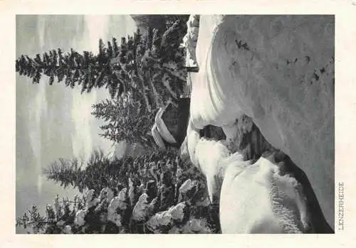 AK / Ansichtskarte  Lenzerheide_GR Winteridyll