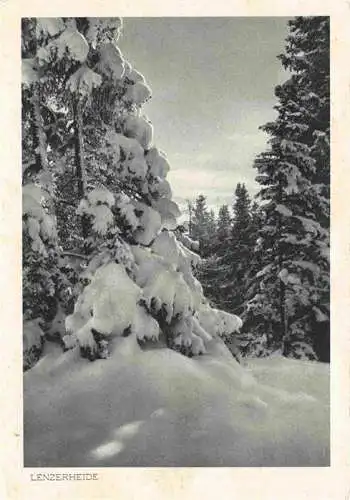 AK / Ansichtskarte  Lenzerheide_GR Winteridyll