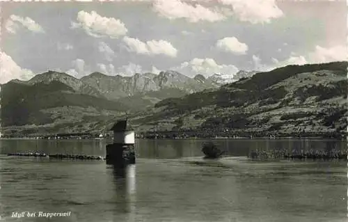AK / Ansichtskarte  Rapperswil_-Jona_Rapperswyl_Zuerichsee_SG Idyll am Zuerichsee Alpenblick